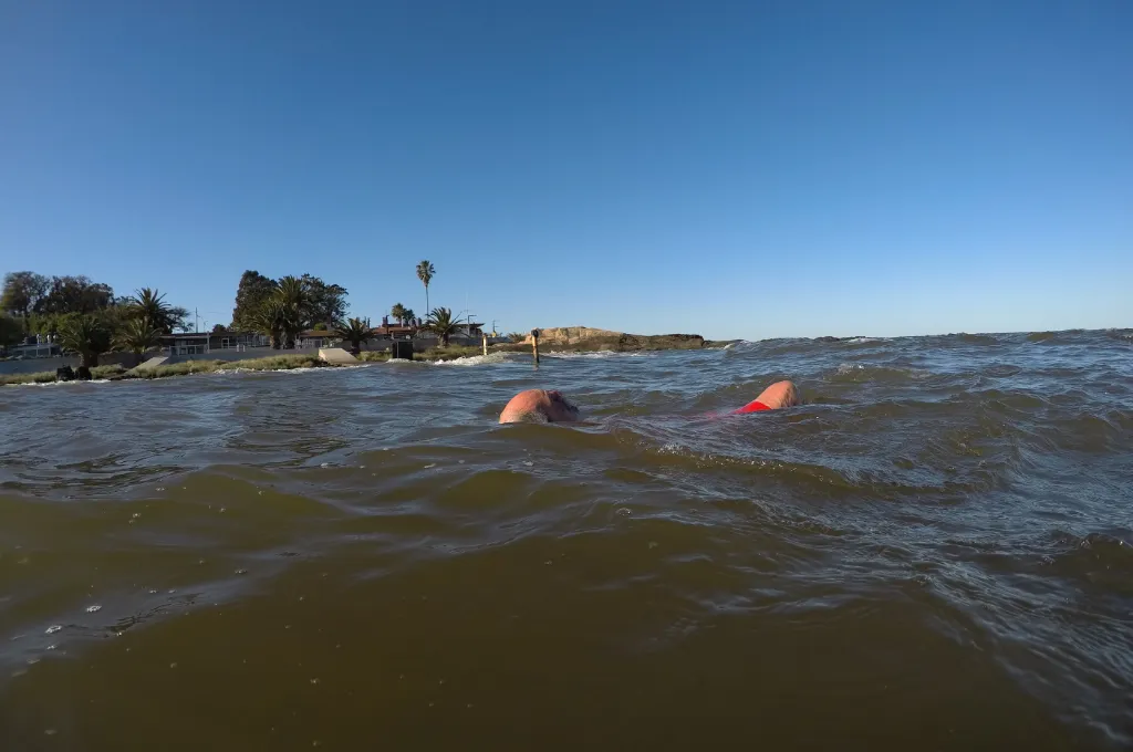 Agua Salvaje - Imagen 3