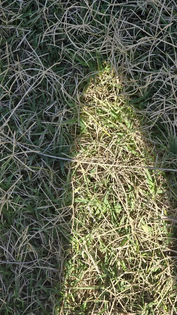 Ensombrando formas - Imagen 2