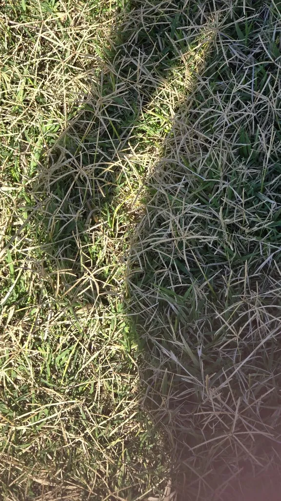 Ensombrando formas - Imagen 3