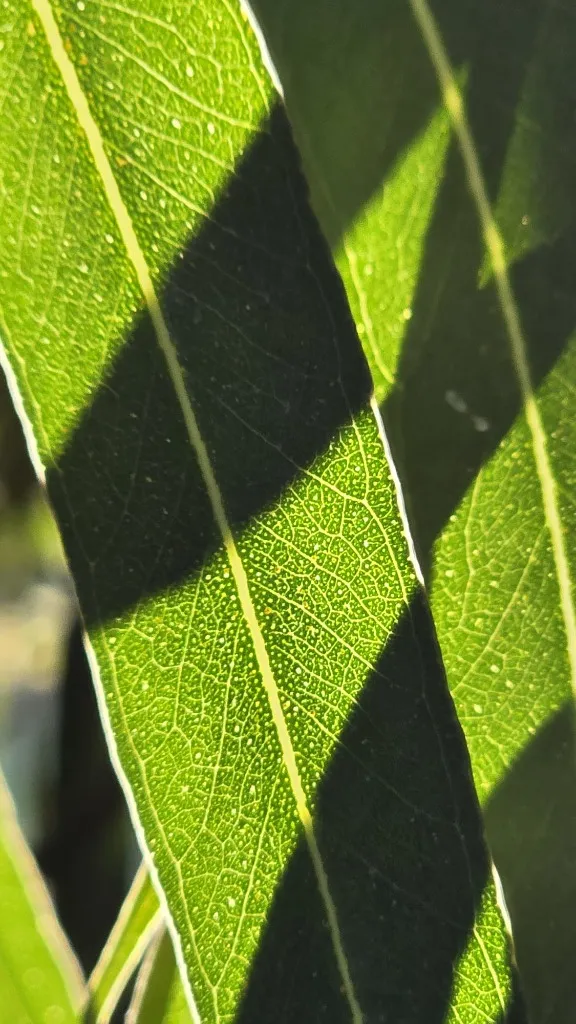 Ensombrando formas - Imagen 9